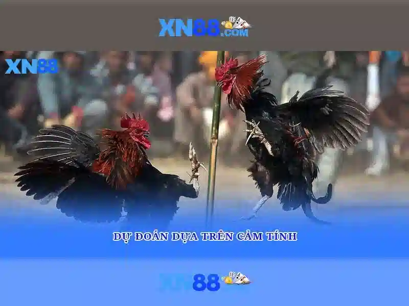 Các sản phẩm và dịch vụ