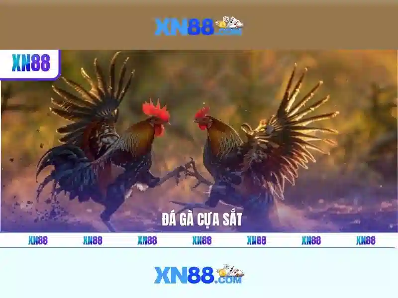 An toàn và thanh toán