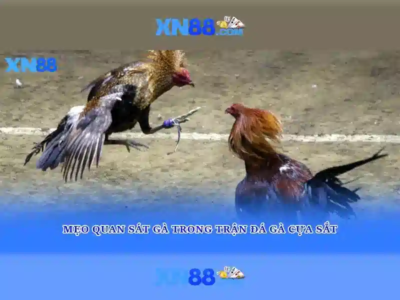 Đặc điểm nổi bật của xn88