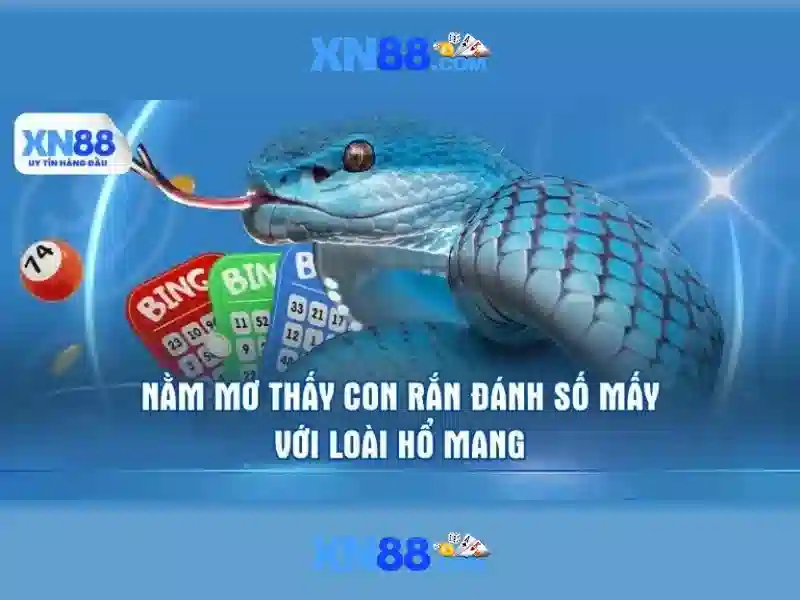 Khám phá các trò chơi và giải pháp thanh toán tại Xn88