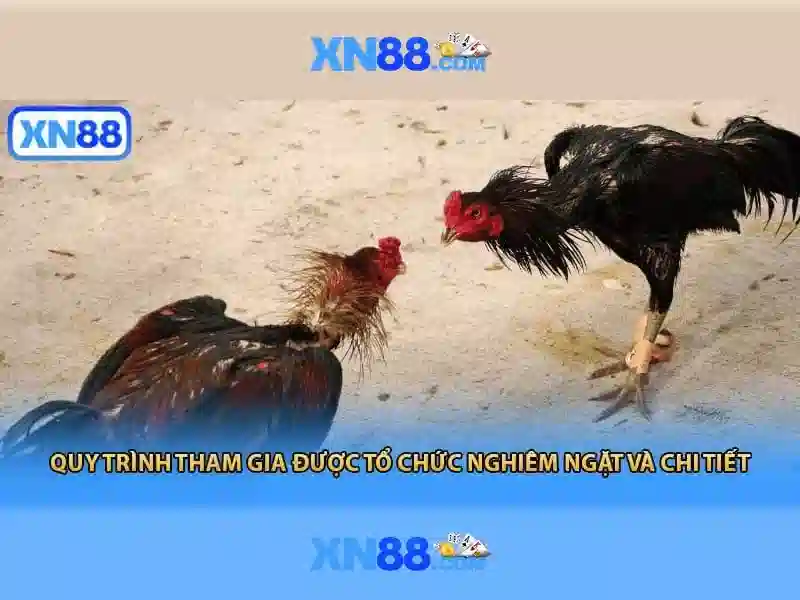 Khuyến mãi và cách tham gia