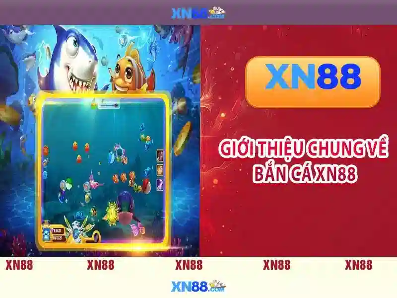 Nguồn gốc và triết lý