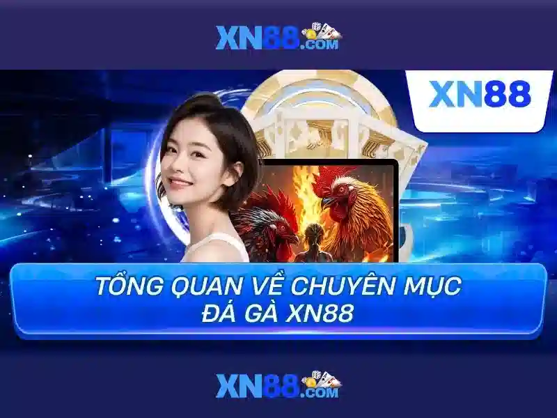 XN88 Com Địa Điểm casino bậc nhất 2025 Ưu đãi Đăng Ký +88k