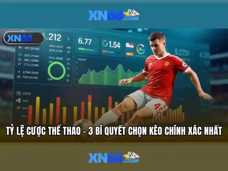 Đánh giá tổng quan về nền tảng