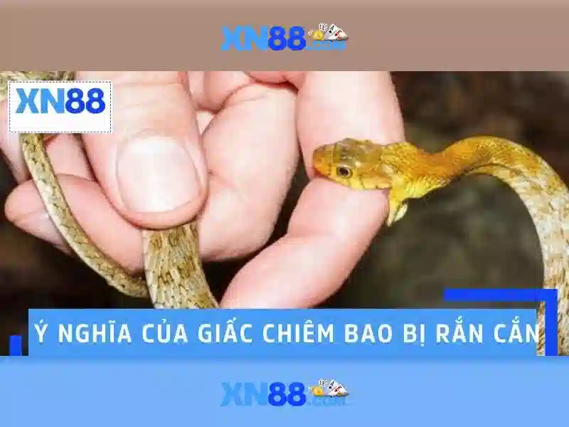 Kết nối và hỗ trợ người dùng