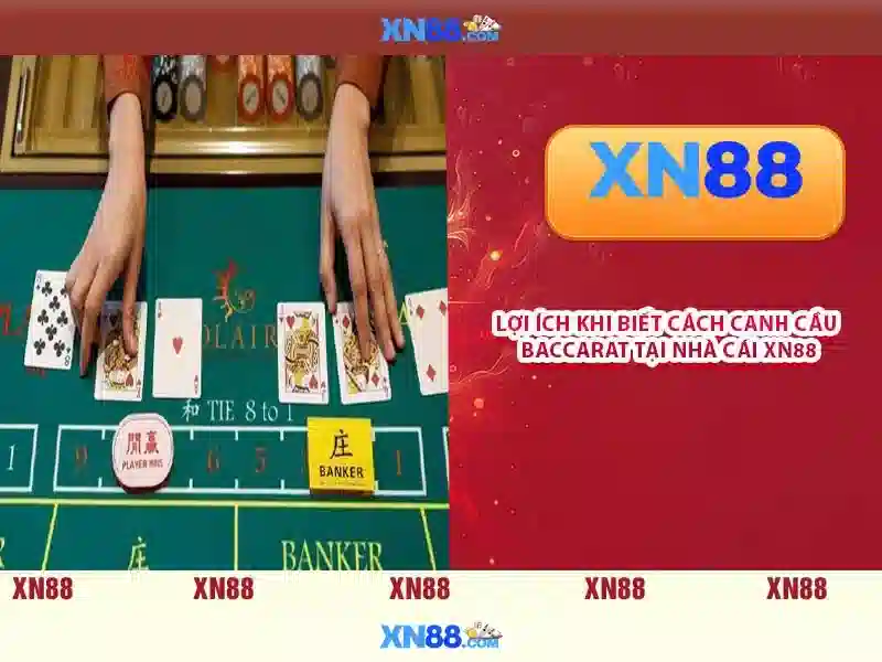 Tính năng nổi bật