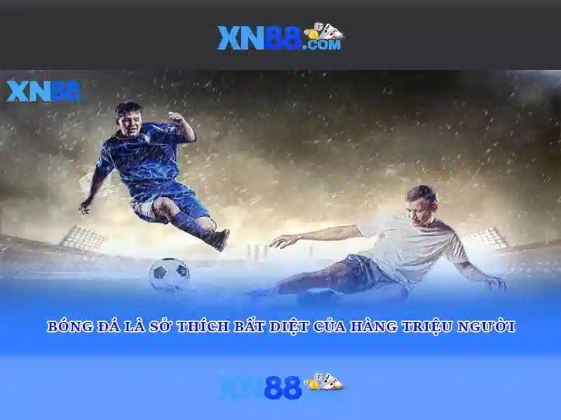 Tổng quan về xn88