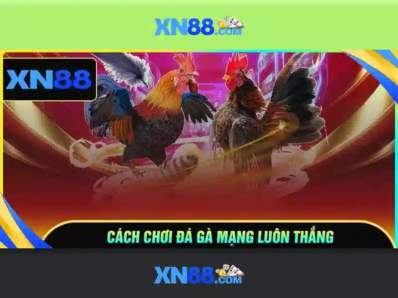 Các trò chơi và tính năng