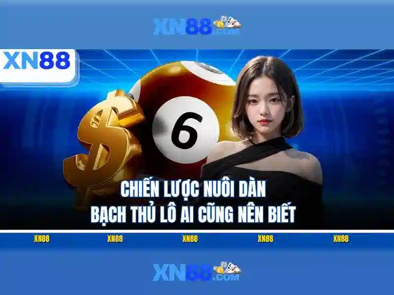 Các dịch vụ chính