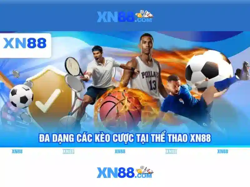 Nền tảng và trải nghiệm người dùng