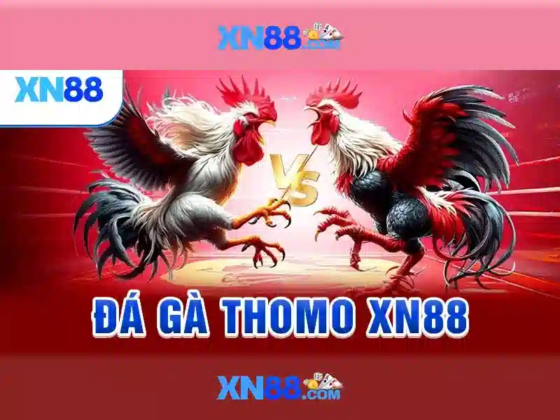baccarat xn88