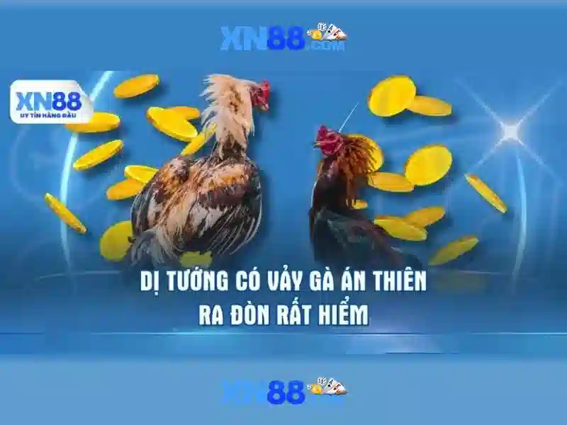 Giới thiệu về xn88