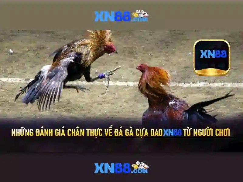 Tương lai và động lực phát triển