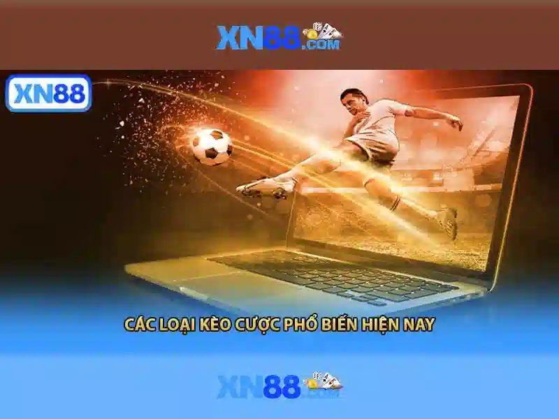 hỗ_trợ_khách_hàng