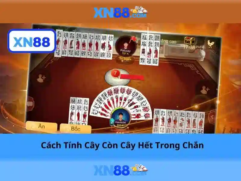 Tại sao xn88 phổ biến?