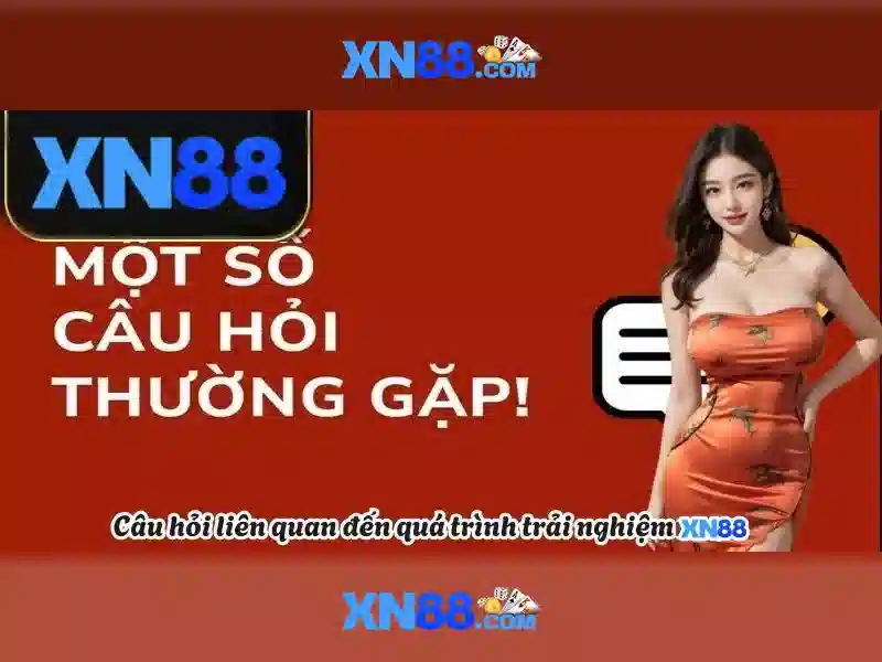 Trải nghiệm người dùng