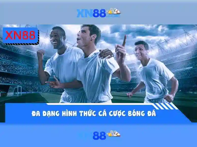Ứng dụng và thị trường