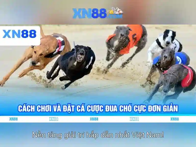 An toàn và pháp lý