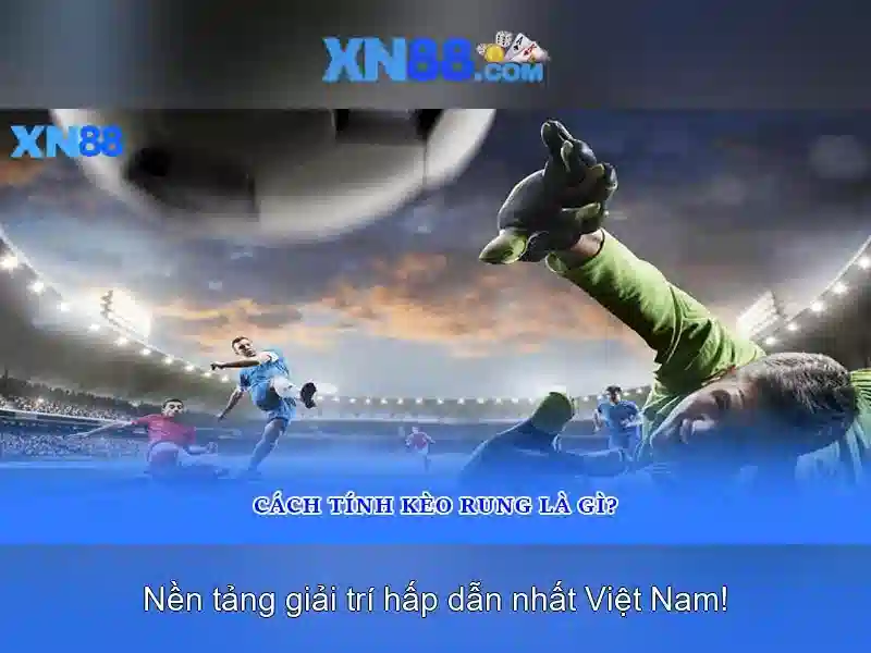 Hướng dẫn tham gia và lưu ý an toàn