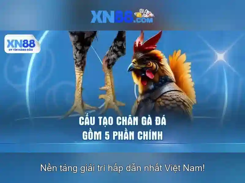 Trải nghiệm người dùng