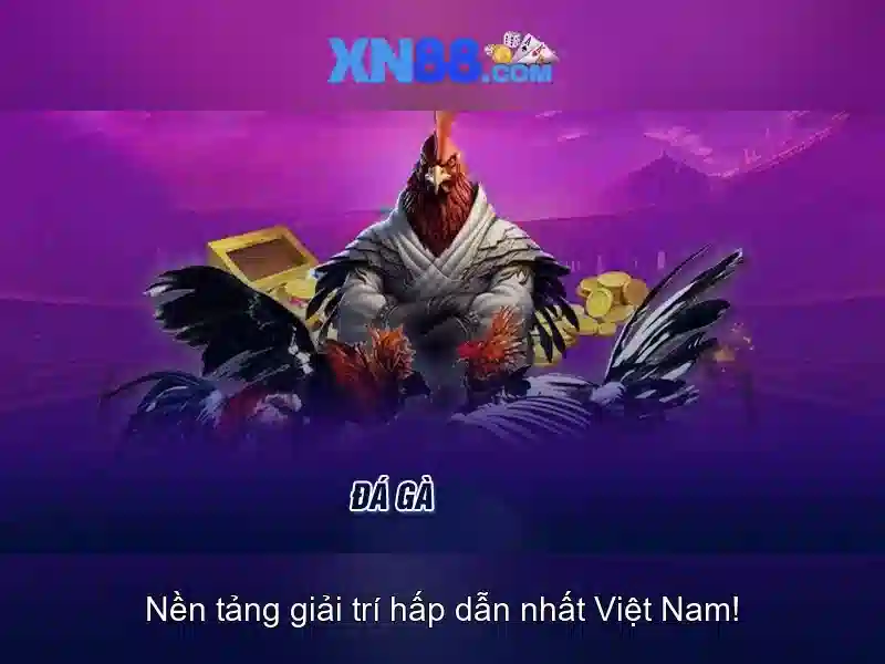 Trải nghiệm người dùng và hỗ trợ khách hàng