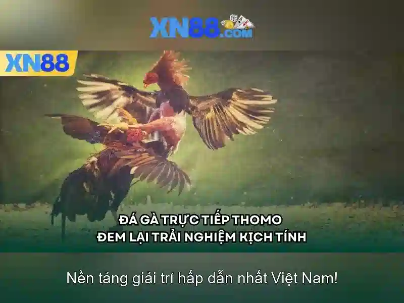 Nguồn gốc và mục tiêu của XN88