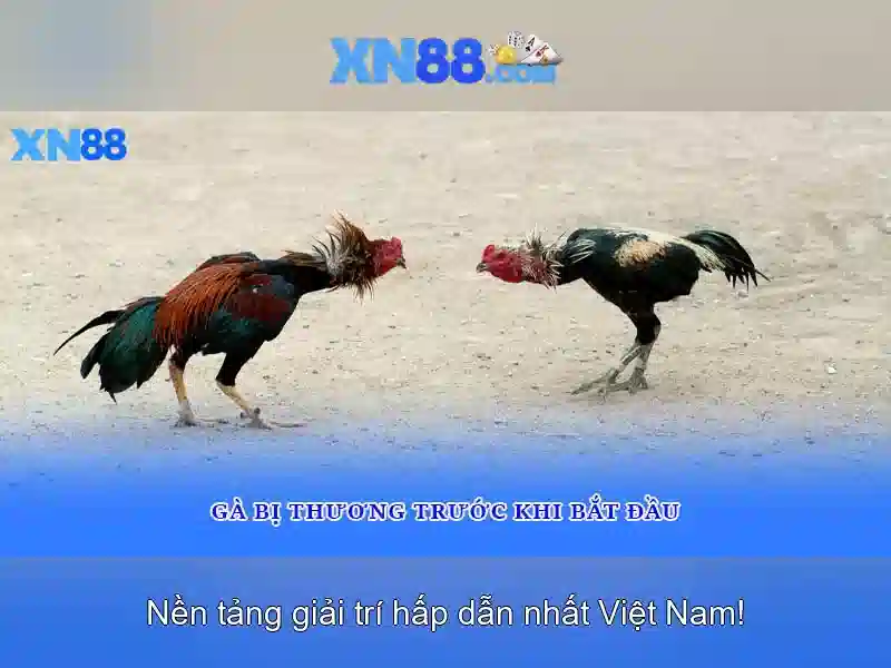 Các tính năng nổi bật của xn88