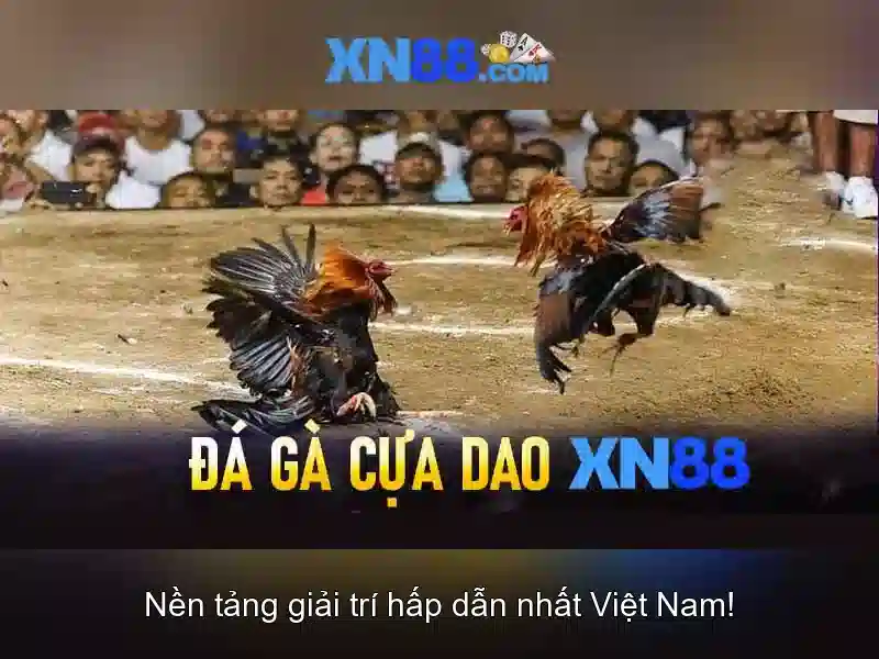An toàn và bảo mật
