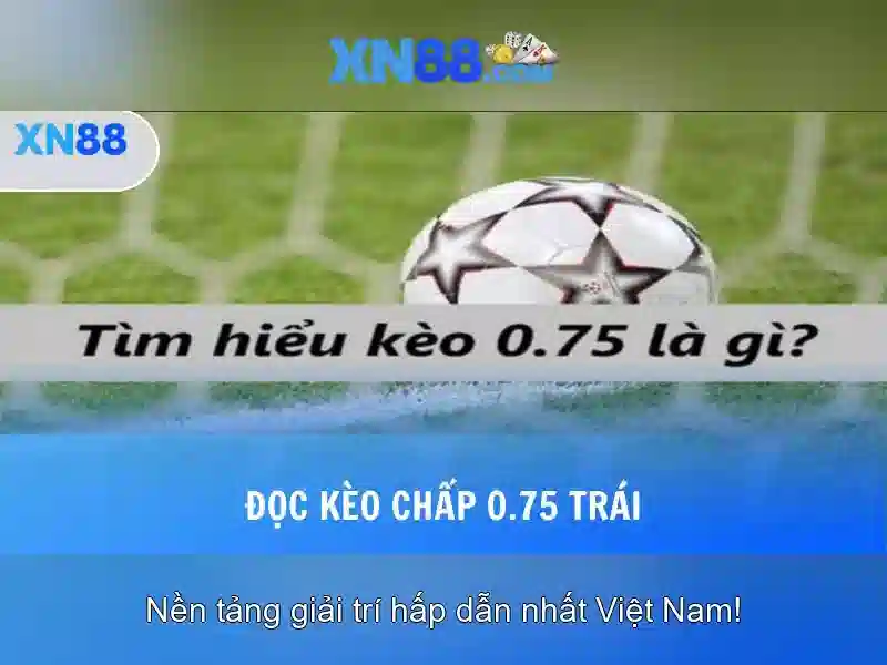 Đặc điểm nổi bật của XN88