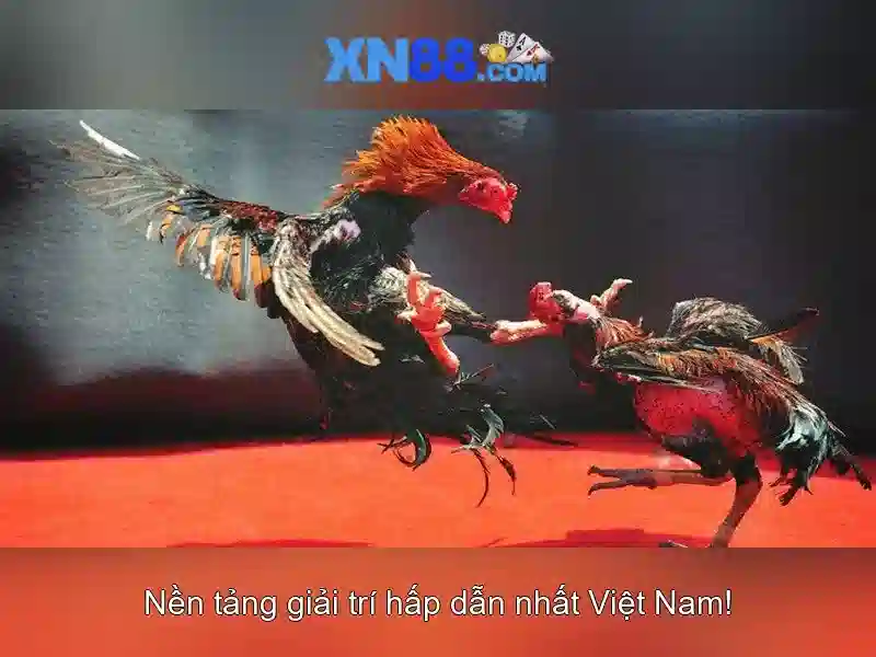 Giới thiệu về xn88