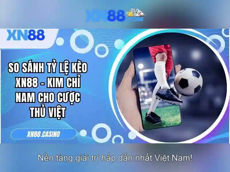 Trải nghiệm người dùng và nhận xét