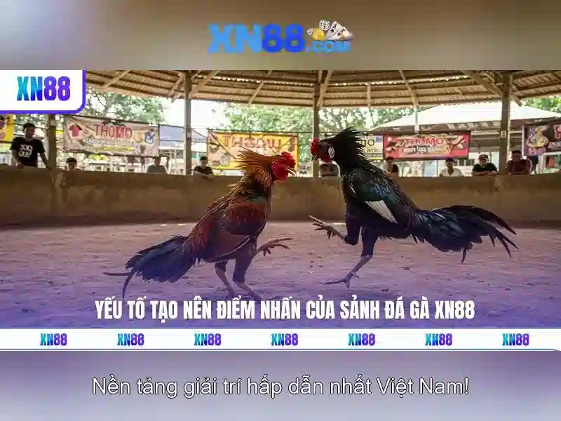 Cách hoạt động