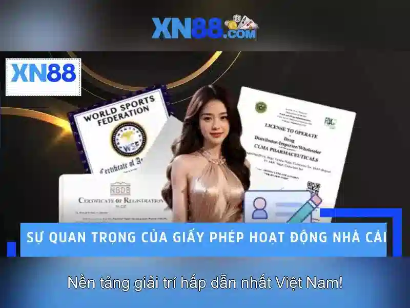 Trải nghiệm người dùng và cộng đồng