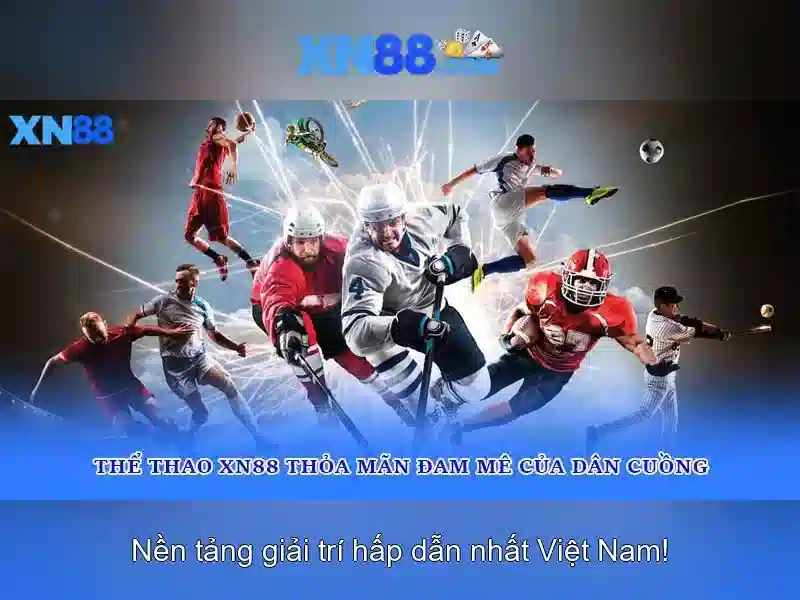 Sử dụng của người chơi