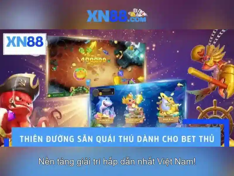 Chính sách và khuyến mãi