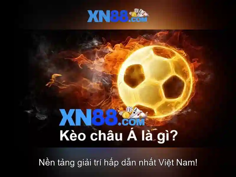 Giới thiệu về XN88