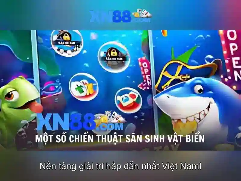 Khuyến mãi và chương trình thưởng