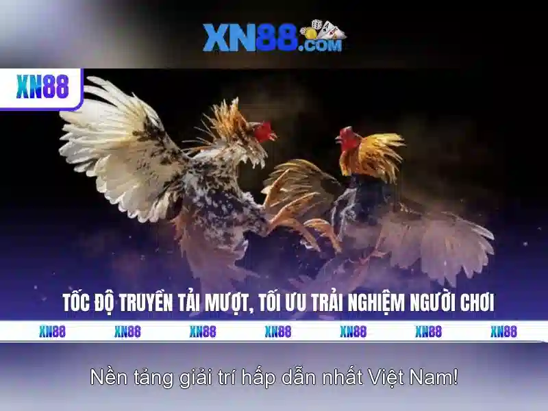 Trải nghiệm người dùng