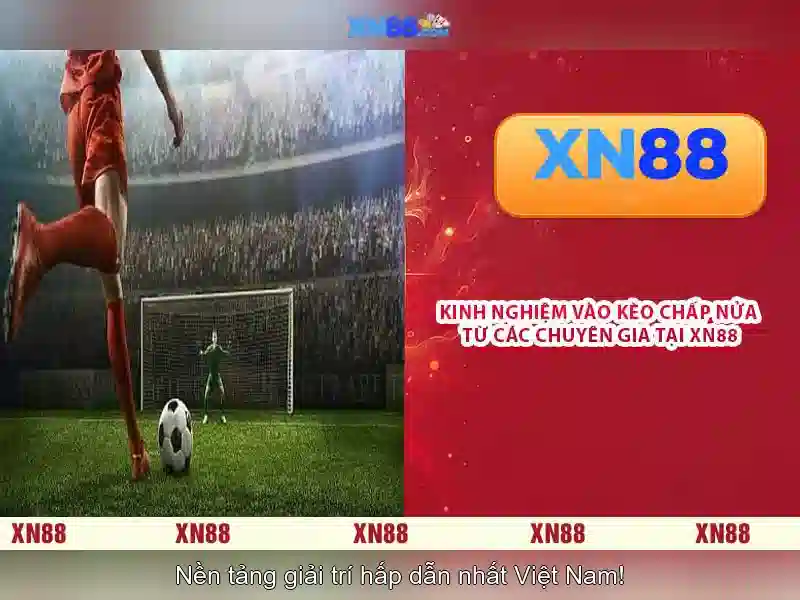 Giới thiệu xn88 và mục tiêu của nó