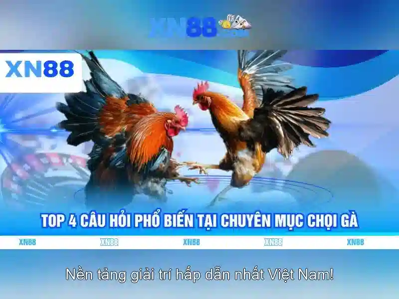 An toàn và trải nghiệm người dùng với xn88