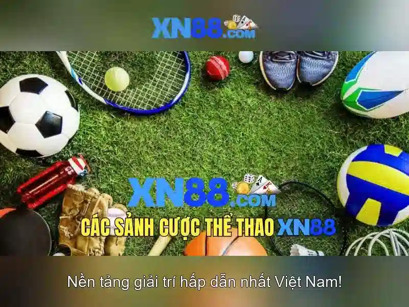 Cách tham gia và an toàn