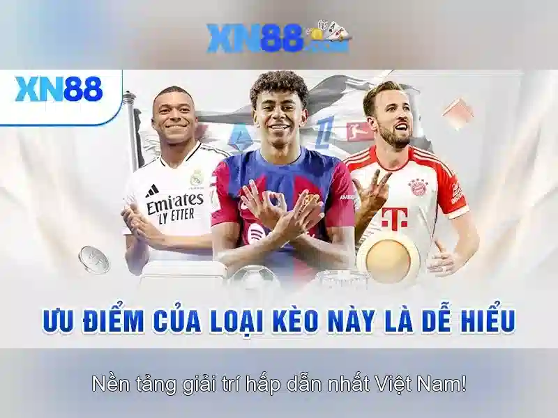 Giới thiệu về xn88