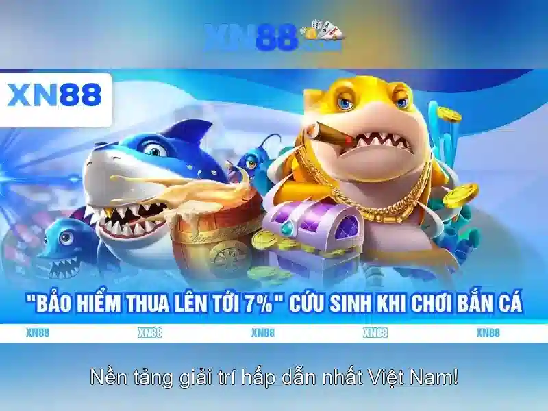 Trải nghiệm người dùng và giao diện