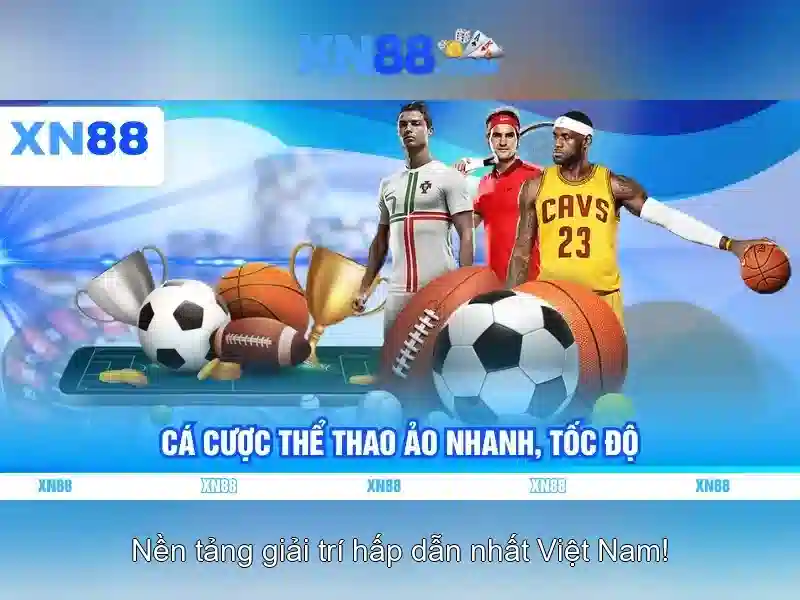 Đặc điểm và chức năng