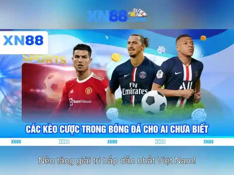 Hướng dẫn bắt đầu