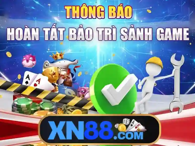 An toàn và trách nhiệm khi tham gia