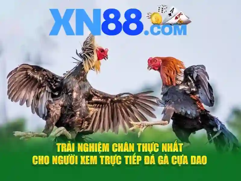 Các tính năng nổi bật